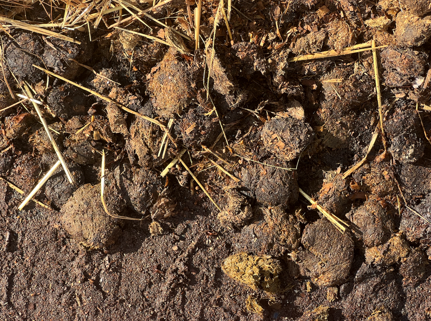 Manure and straw - Hensel.png